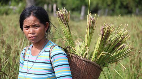 Feldarbeiterin in Kambodscha.