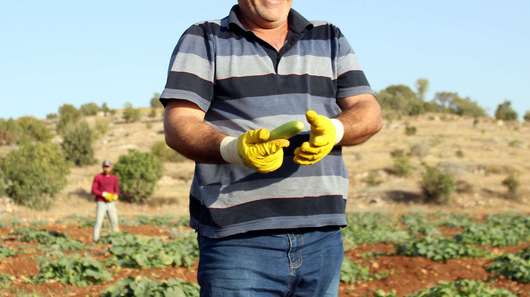 Faruk Youssef auf dem Feld. In einem Welthungerhilfe-Projekt in der Türkei baut er Gurken an.
