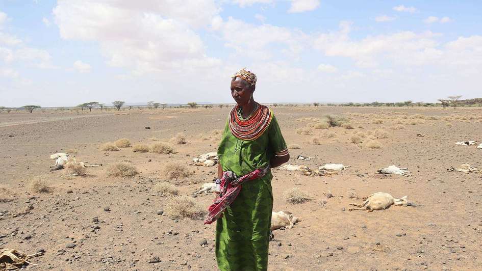 Dürre in Kenia: Eine Frau steht auf einem Feld, im Hintergrund sieht man totes Vieh.