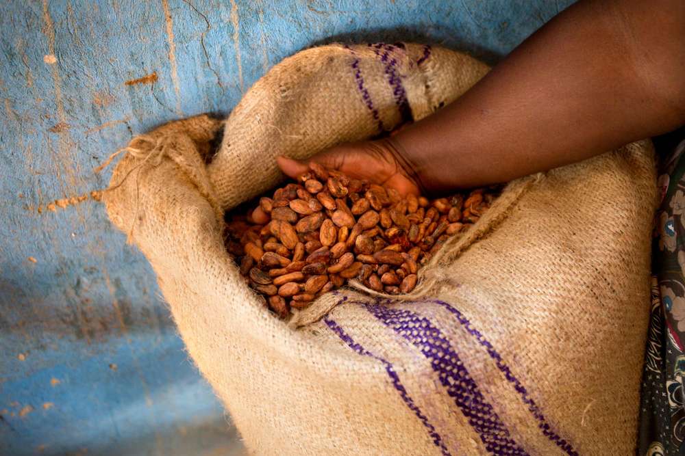 Dure cacao tegen illegale kinderarbeid