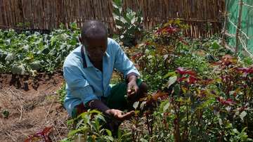 Ein Farmer in Malawi in seinem Garten