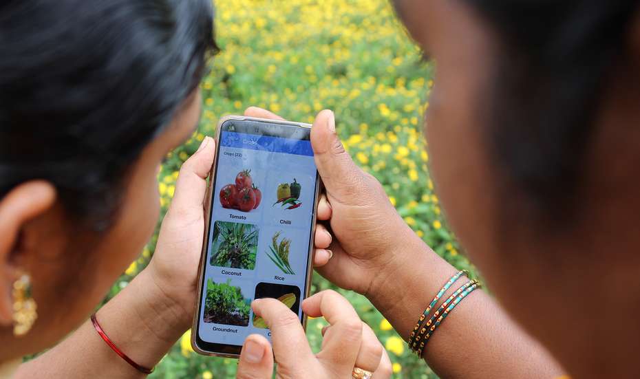 Zwei Personen schauen auf das Display eines Smartphones, auf dem die Sativas-App geöffnet ist. Sie zeigt mehrere Pflanzentypen zur Auswahl.