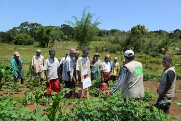 Welthungerhilfe-Mitarbeiter erklären Kleinbauern neue Anbaumethoden auf dem Feld