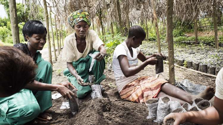 Frauen nehmen in der Region Nord-Kivu in der Demokratischen Republik Kongo an einer Fortbildung über die Zucht von Bäumen teil.