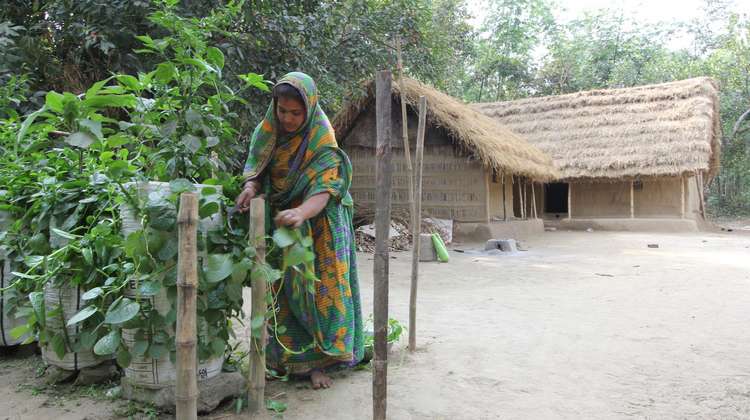 Frau in Bangladesch sieht sich Pflanzsäcke im Garten an.