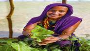 Eine Frau mit einem violetten Tuch um Kopf und Schultern pflückt Salat und lächelt dabei in die Kamera.