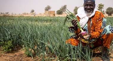 Mann in Niger hockt in Feld und hält lächelnd Ernte in die Kamera.