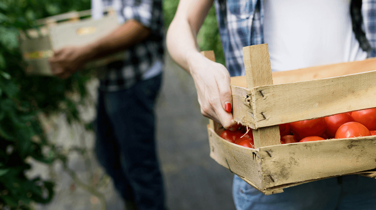 Ein Mann trägt eine Kiste mit Tomaten.