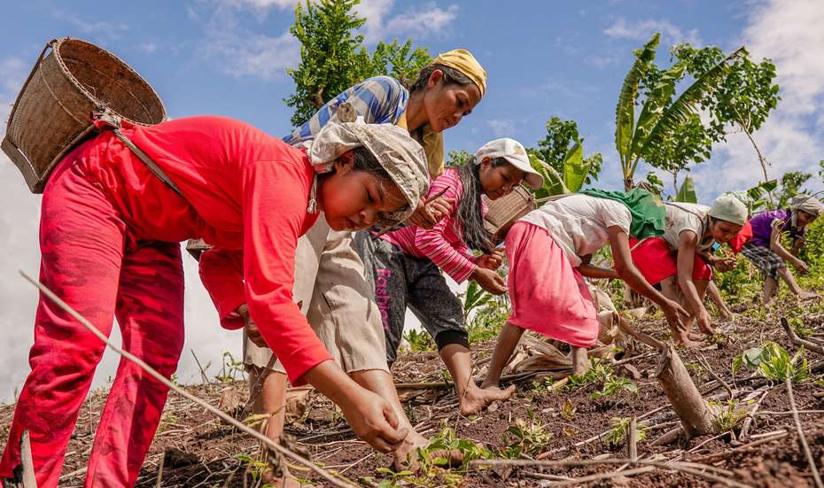 Klimawandel; Frauen lernen den Anbau von Obstbäumen