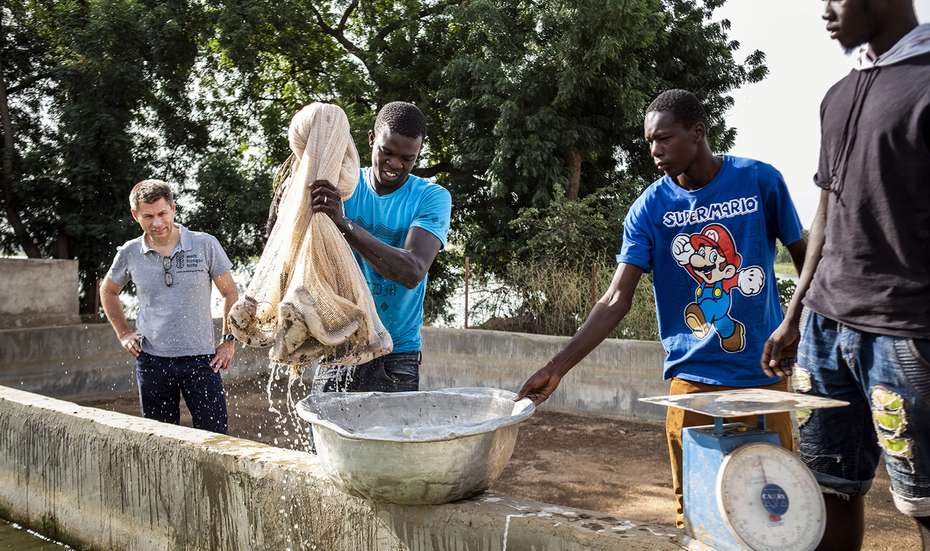 Welthungerhilfe-Generalsekretär Mathias Mogge mit drei malischen Fischzüchtern an einem Zuchtbecken