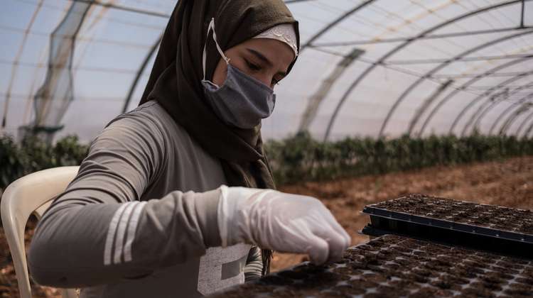Eine Frau mit Mundschutz und Handschuhen, sie pflanzt in mehreren Reihen Saatgut ein.