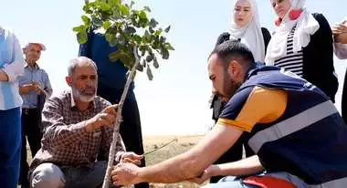 Miri El Hebşen, Geflüchteter aus Syrien in der Türkei, hat in einer landwirtschaftlichen Schulung gelernt, Pistazienbäume zu veredeln.