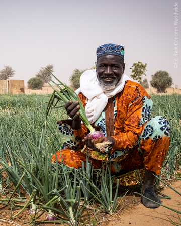 Madachir Kadir zeigt eine Zwiebel aus dem Gemüsegarten in Tahoua, Niger