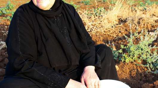Sawsan Nahas aus Hama, Syrien, auf einem Gurkenfeld in Mardin, Türkei.