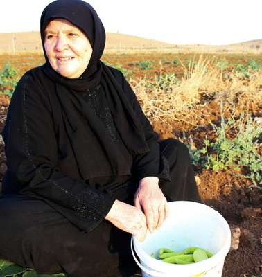 Sawsan Nahas aus Hama, Syrien, auf einem Gurkenfeld in Mardin, Türkei.