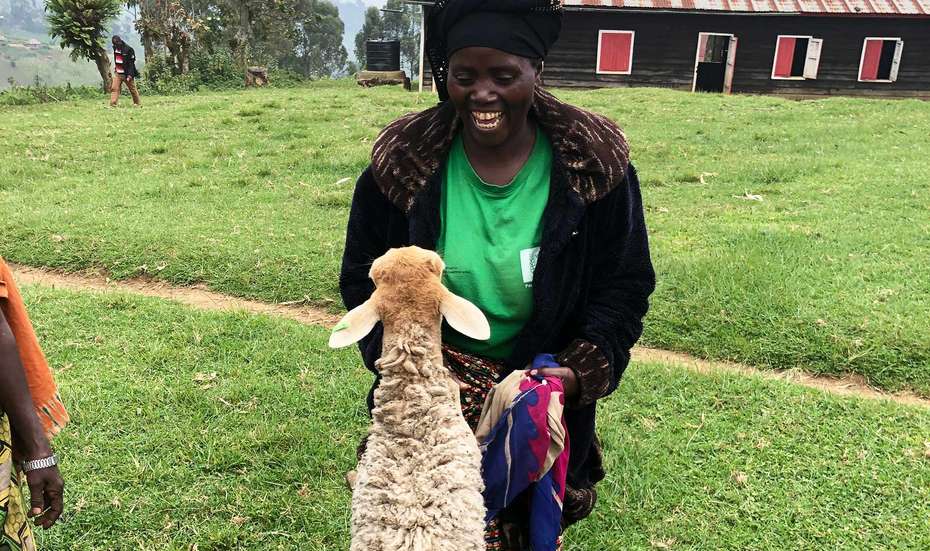 Eine Frau freut sich über ein Schaf.