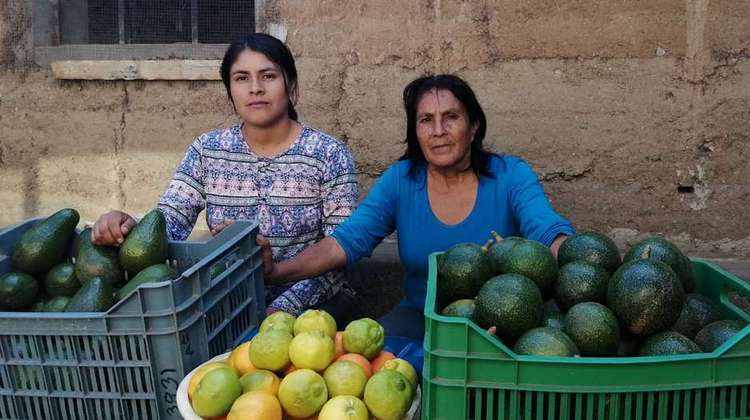 Zwei Frauen verkaufen Avocados auf dem Markt