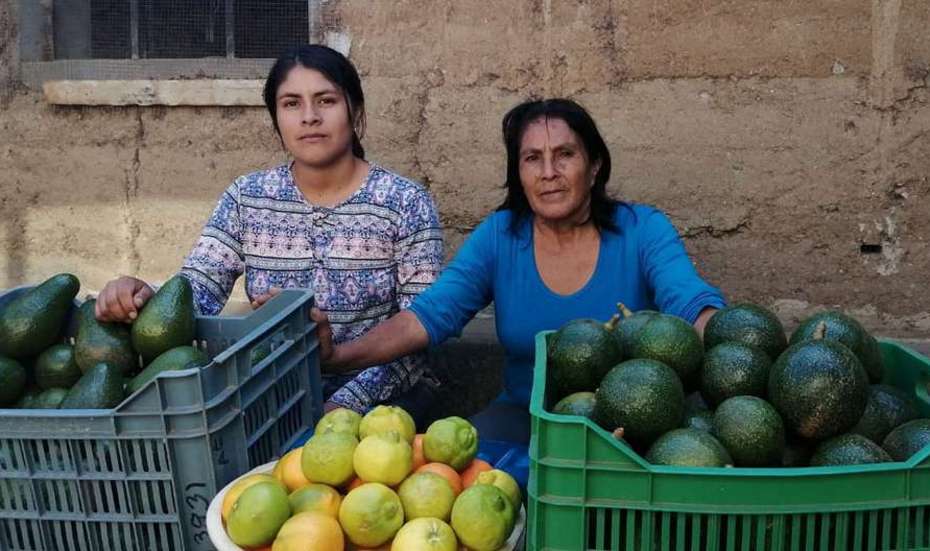 Zwei Frauen verkaufen Avocados auf dem Markt