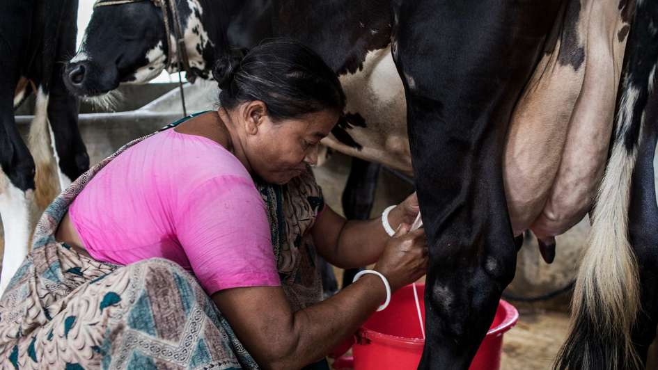 Eine Frau beim Melken einer Kuh.