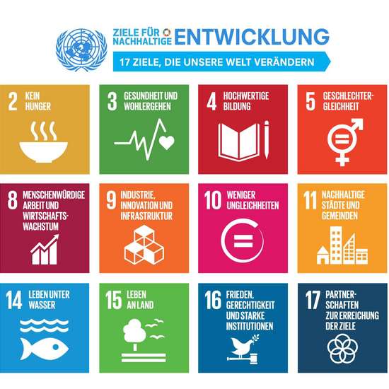 Grafik: Auflistung der Sustainable Development Goals