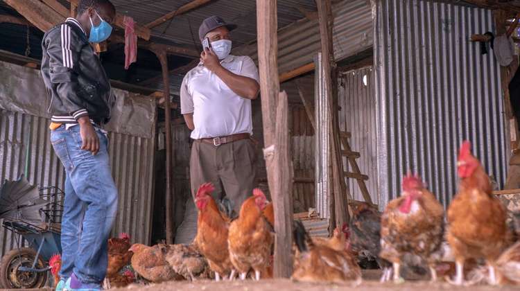 Poultry farmer, Nairobi