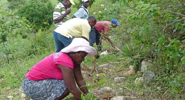 Bäuerinnen und Bauern bauen einen kleinen Steinwall zum Schutz gegen Erosion auf Haiti.