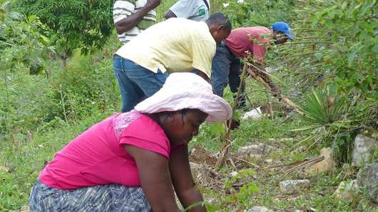 Bäuerinnen und Bauern bauen einen kleinen Steinwall zum Schutz gegen Erosion auf Haiti.