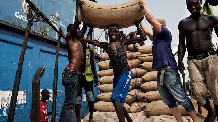 Männer verladen Säcke mit Kakaobohnen auf einen Lastwagen