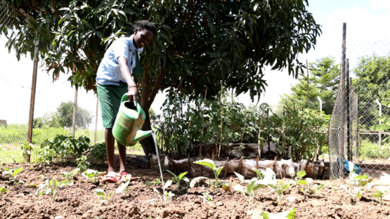 Bild aus einem Projekt im Südsudan mit Schulspeisungen, ein Mädchen steht in einem Garten und gießt die Pflanzen.