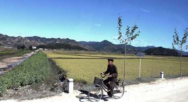 Eine Frau fährt mit ihrem Fahrrad vorbei an Feldern.