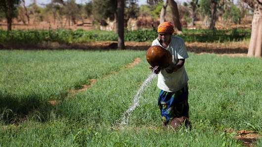 Eine Frau bewässert einen Garten, Mali, 2013.