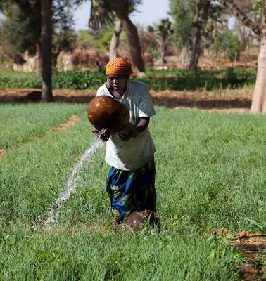 Eine Frau bewässert einen Garten, Mali, 2013.