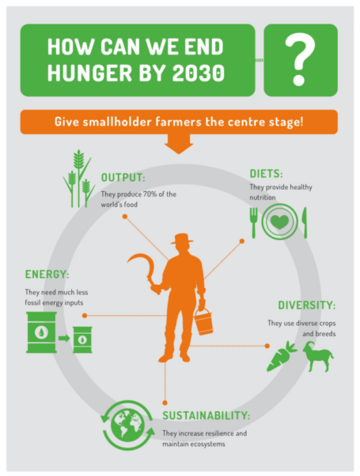 Infographic: How can we end hunger by 2030?