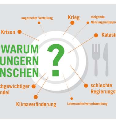 Infografik: Warum hungern Menschen?