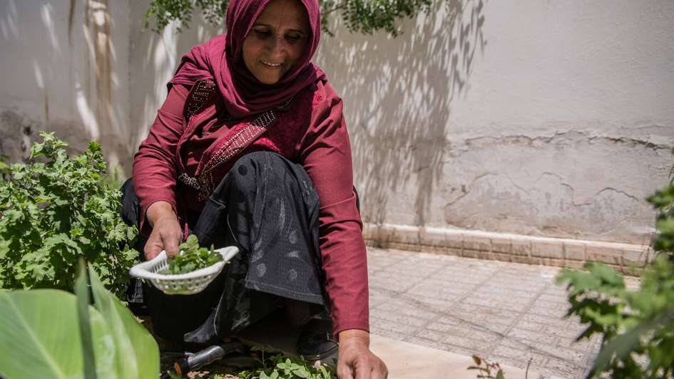 Afghanistan: Gastbeitrag Gemüse, Projektteilnehmerin Zia Gul, 2020.