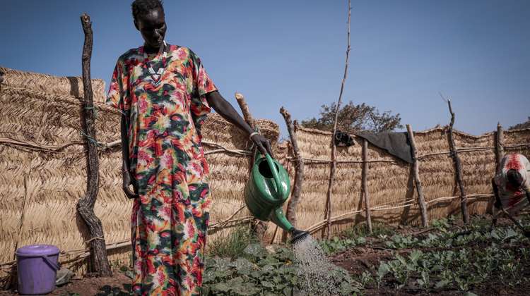 Eine Kleinbäuerin im Südsudan gießt ihre Pflanzen