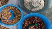 Verschiedene Lebensmittel in Schüsseln auf einem Markt in Uganda