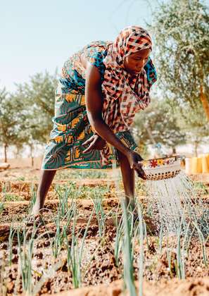 Eine Frau steht auf einem Gemüsebeet und gießt.