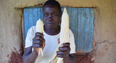 A farmer holding up a small and a large corncob
