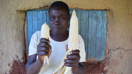 A farmer holding up a small and a large corncob
