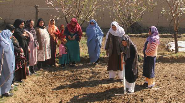 Frauen stehen im Kreis auf einem kleinem Feld und lernen alles über Safrananbau, Afghanistan 2021. 