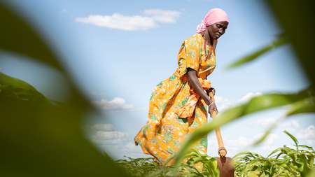 Eine Frau in Kenia beackert mit einer Hacke ein Feld.