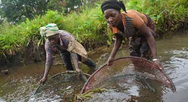 Women fishing in Sierra Leone.