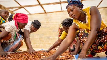 Frauen verarbeiten Kakao in einer Kooperative.