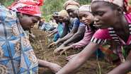In einem Projekt der Welthungerhilfe in Nord-Kivu, Demokratische Republik Kongo, lernen Menschen in einem Schulungsgarten Methoden zum Gemüseanbau. Hier wird Knoblauch angepflanzt.