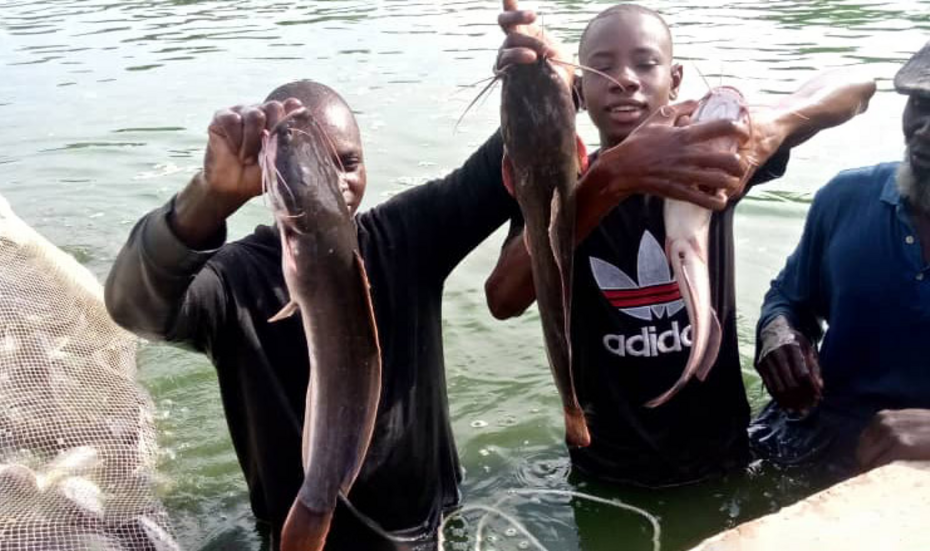 Zwei Männer halten die gerade gefangenen Fische hoch, Mali 2021. 