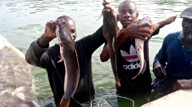 Zwei Männer halten die gerade gefangenen Fische hoch, Mali 2021. 