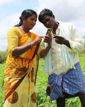 Eine indische Jugendliche erklärt einem Bauern auf einem Feld, wie er die App Sativus nutzen kann.