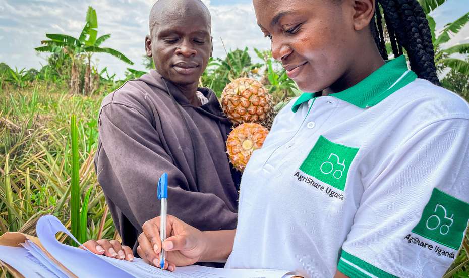 Ananas-Anbau in Uganda mit AgriShare. Eine Mitarbeiterin mit Welthungerhilfe T-Shirt macht Notizen, im Hintergrund ist ein Mann, der zwei Ananas hält.