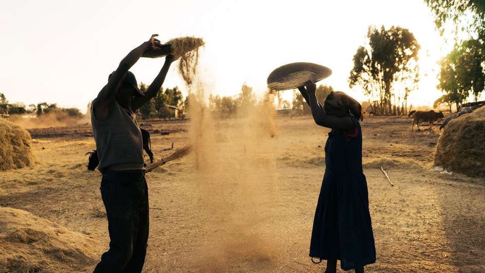 Bauern im aethiopischen Dorf Sodo bei der Getreideernte.